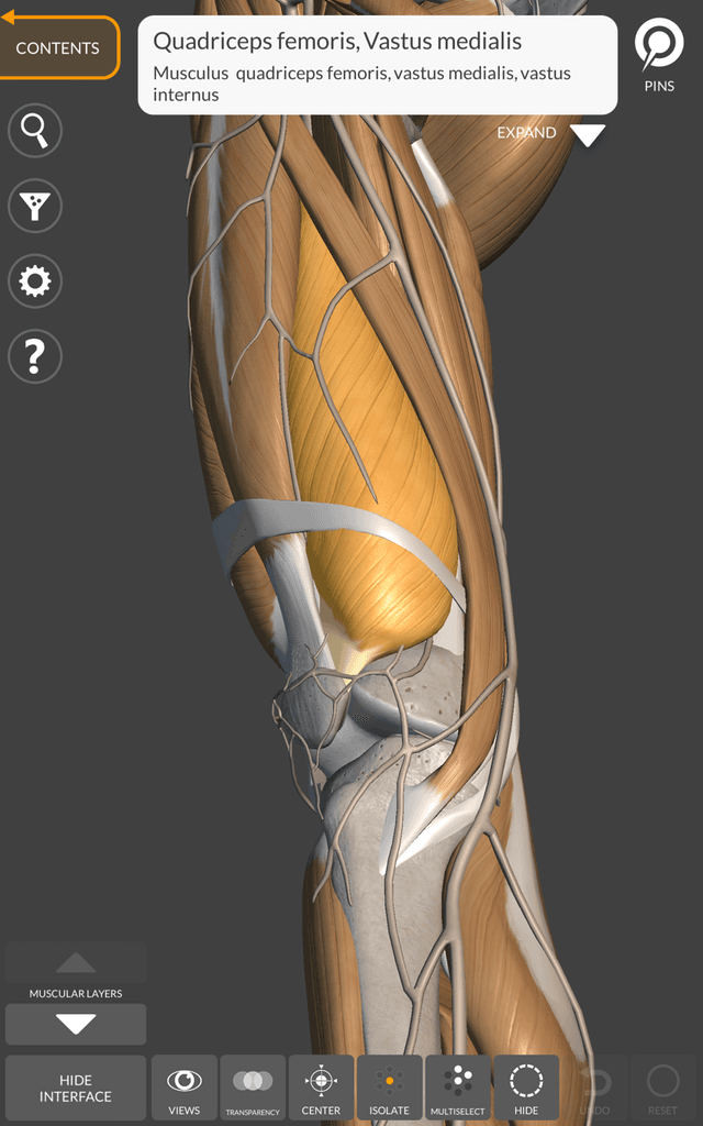 Anatomy for the Artist