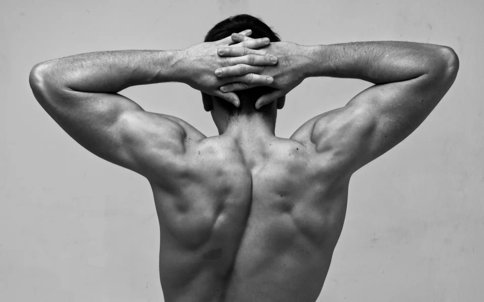 male body anatomical photos