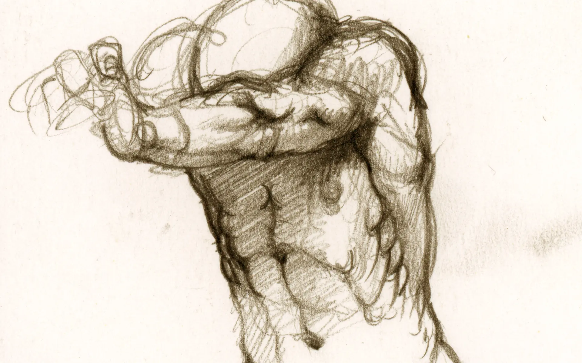 artistic anatomical drawings